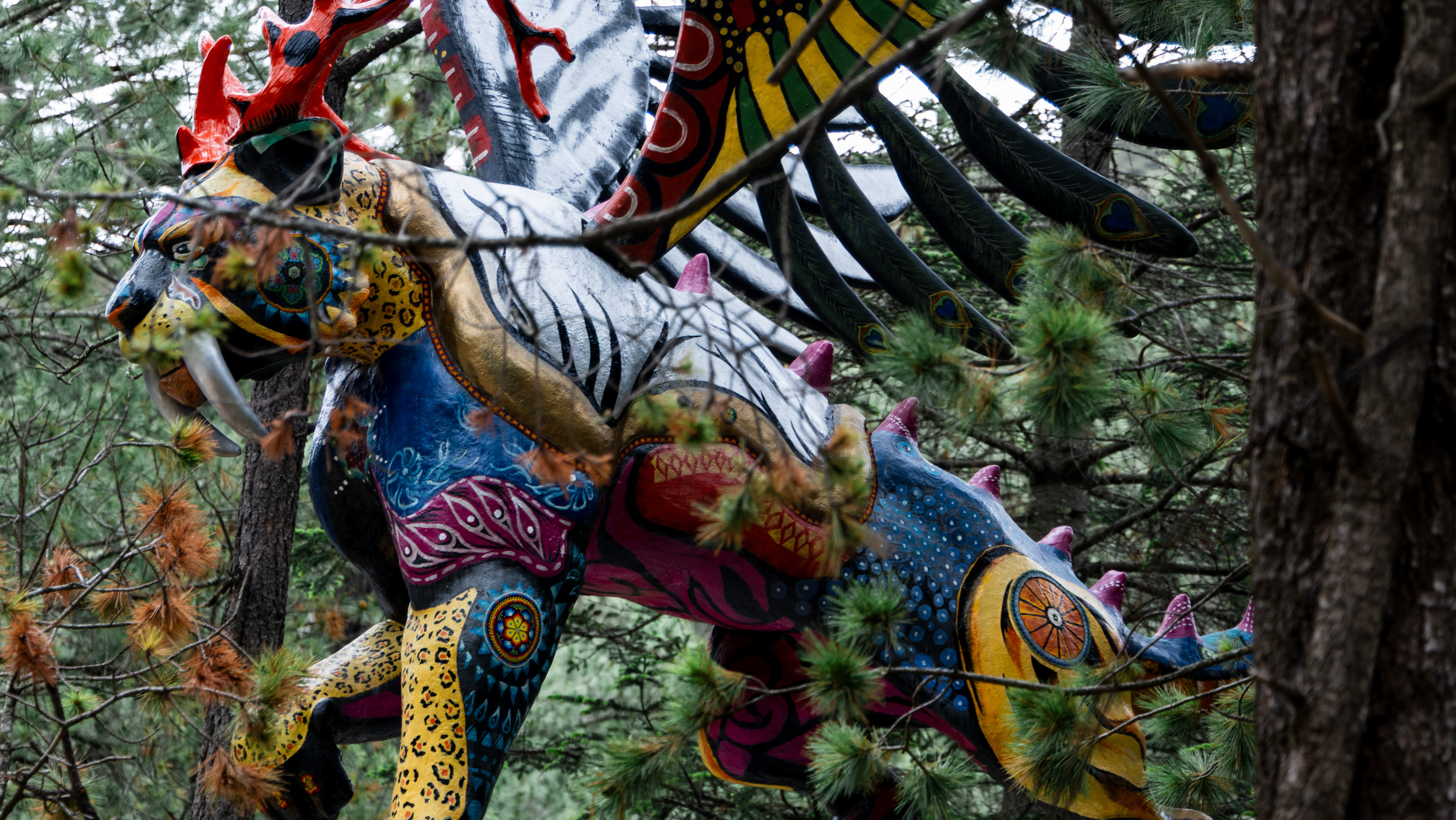Bosque Secreto: una nueva propuesta turística en la Sierra de Arteaga